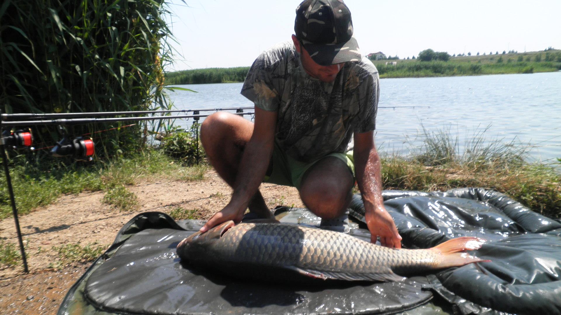 Tancabesti - p7100101.JPG